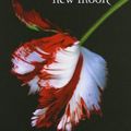 Cover Art for 9781435244870, New Moon (Twilight Saga) by Stephenie Meyer