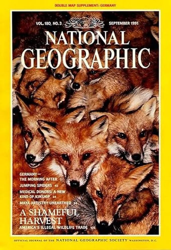 Cover Art for B000R709SO, National Geographic:  September 1991 - Vol. 180, No. 3 (Morning After: Germany Reunited; All Eyes on Jumping Spiders; New Kind of Kinship; Maya Artistry Unearthed; America's Illegal Wildlife Trade) by None Stated