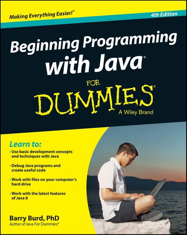 Cover Art for 9781118417560, Beginning Programming with Java For Dummies by Barry A. Burd