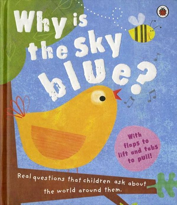 Cover Art for 9781846468964, Why is the Sky Blue? (Board Books) by Ladybird