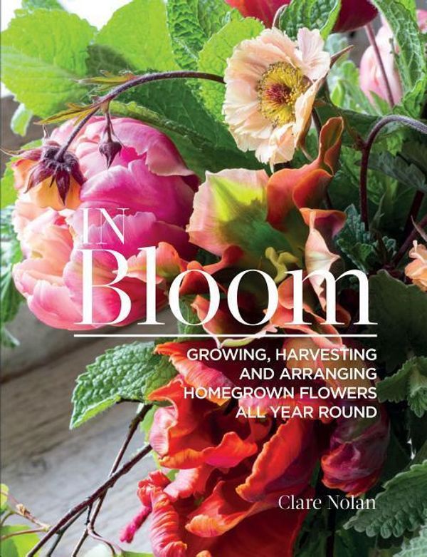 Cover Art for 9781620083284, In Bloom: Growing, Harvesting, and Arranging Homegrown Flowers All Year Round by Clare Nolan