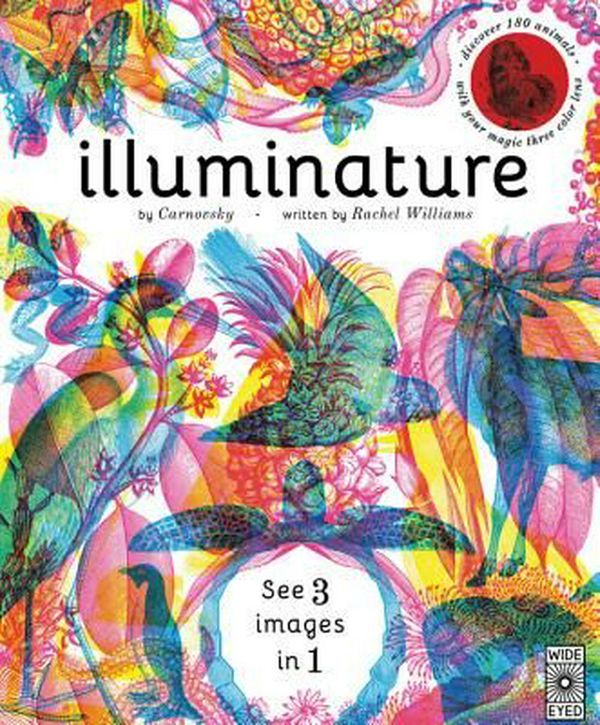 Cover Art for 9781847808875, IlluminatureA Search and Find Extravaganza That Illuminates... by Rachel Williams