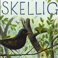 Cover Art for 9788862560429, Skellig by David Almond
