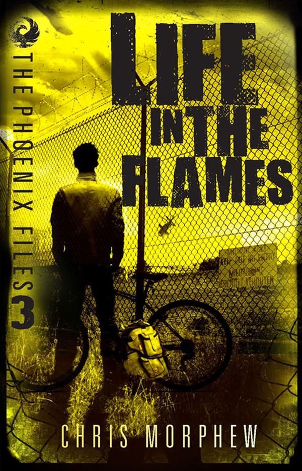 Cover Art for 9781743584002, The Phoenix Files: Life in Flames by Morphew
