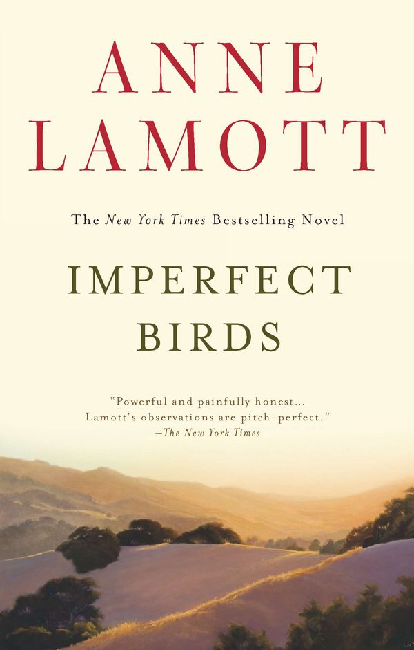 Cover Art for 9781594485046, Imperfect Birds by Anne Lamott