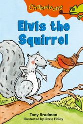 Cover Art for 9780713675771, Elvis the Squirrel by Tony Bradman