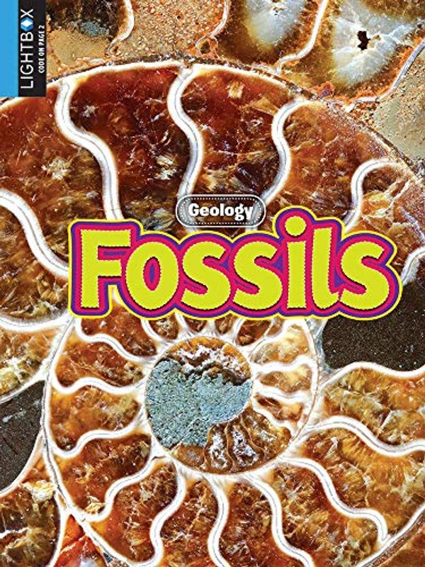 Cover Art for 9781510511507, Fossils by Megan Lappi
