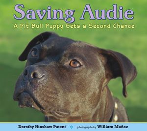 Cover Art for 9780802734570, Saving Audie by Dorothy Hinshaw Patent