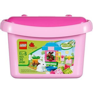 Cover Art for 0673419167420, Pink Brick Box Set 4623 by LEGO