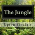 Cover Art for 9781548646707, The Jungle by Upton Sinclair