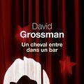 Cover Art for 9782021224801, Un cheval entre dans un bar by David Grossman