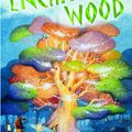 Cover Art for 9781405270021, The Enchanted Wood by Enid Blyton