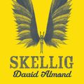 Cover Art for 9781444910636, Skellig by David Almond