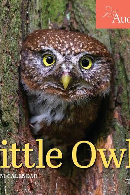 Cover Art for 9781523516261, Audubon Little Owls Mini Wall Calendar 2023 by Workman Calendars, National Audubon Society