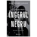 Cover Art for 9786069639016, Ingerul Negru. Seria Reina Roja, Vol. 2 by Juan Gomez-Jurado