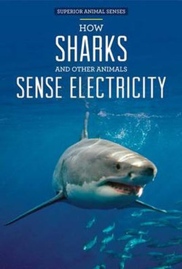 Cover Art for 9781499409949, How Sharks and Other Animals Sense ElectricitySuperior Animal Senses by Christine Honders