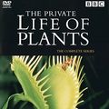 Cover Art for 9397810077096, Attenborough: Private Life of Plants by David Attenborough