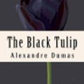 Cover Art for 9781537366357, The Black Tulip by Alexandre Dumas