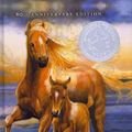 Cover Art for 9780756982270, Misty of Chincoteague by Marguerite Henry