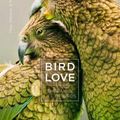Cover Art for 9780691188843, Bird Love – The Family Life of Birds by Wenfei Tong