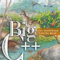 Cover Art for 9780471470632, Big C++ by Cay S. Horstmann, Timothy A. Budd
