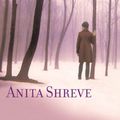 Cover Art for 9781586216375, Light on Snow by Anita Shreve
