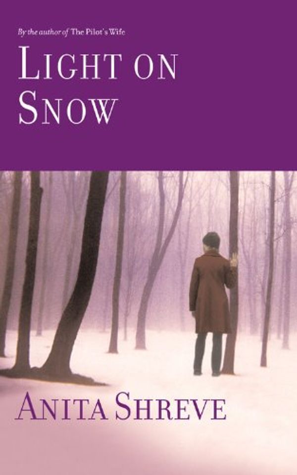 Cover Art for 9781586216375, Light on Snow by Anita Shreve