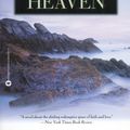 Cover Art for 9781594836633, As It Is in Heaven by Niall Williams
