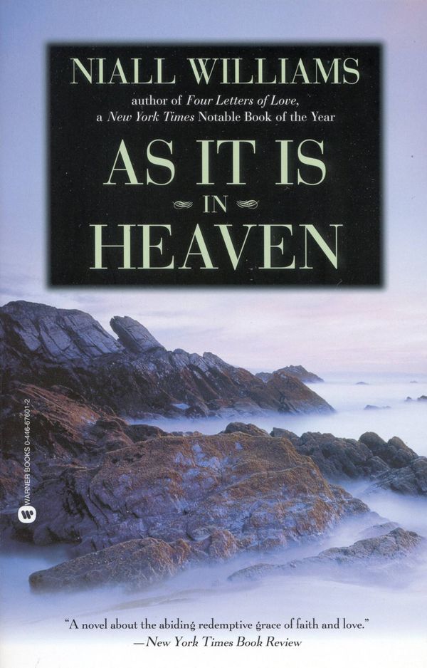 Cover Art for 9781594836633, As It Is in Heaven by Niall Williams