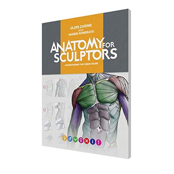 Cover Art for 9781735039022, Anatomy for Sculptors, Understanding the Human Figure by Uldis Zarins, Sandis Kondrats