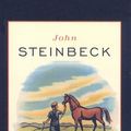 Cover Art for 9780812416527, The Red Pony by John Steinbeck