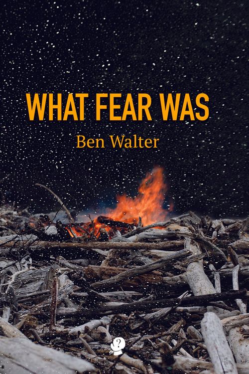 Cover Art for 9781922571205, What Fear Was by Ben Walter