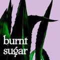 Cover Art for 9780241441510, Burnt Sugar by Avni Doshi