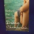 Cover Art for 9781848450578, Before the Storm by Diane Chamberlain