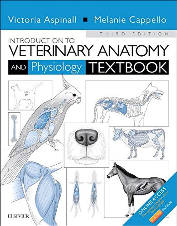 Cover Art for 0783324879032, Introduction to Veterinary Anatomy and Physiology Textbook by Aspinall BVSc MRCVS, Victoria, Cappello BSc(Hons)Zoology PGCE VN, Melanie