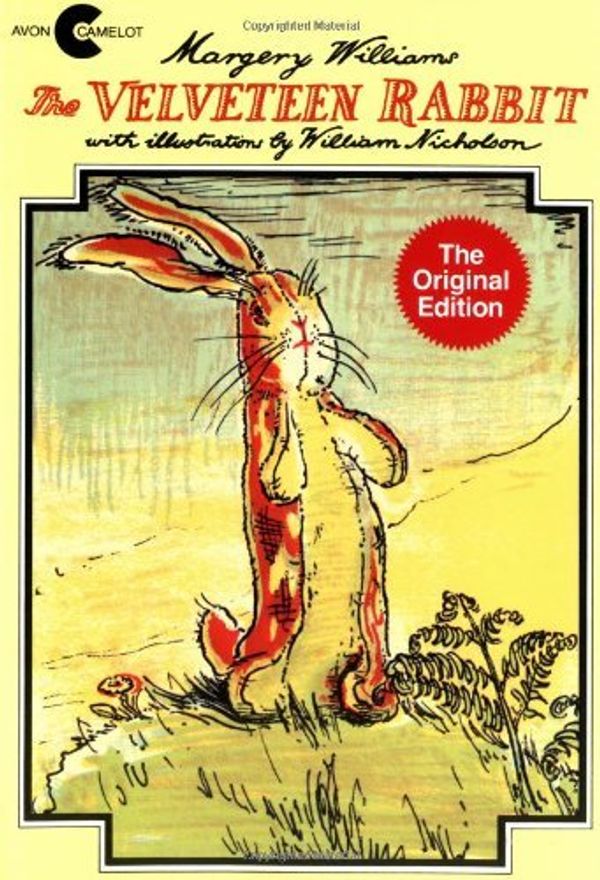 Cover Art for 0071001003505, The Velveteen Rabbit by Margery Williams