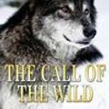 Cover Art for 9781517744885, The Call of the Wild by Jack London
