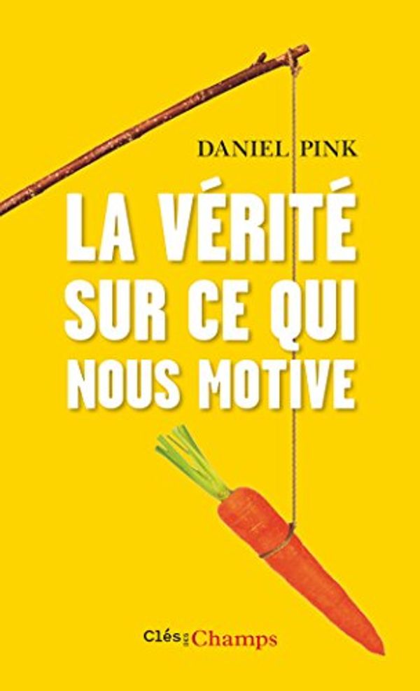 Cover Art for 9782081379527, La vérité sur ce qui nous motive by Daniel Pink