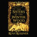 Cover Art for 9781549120237, The Sisters of the Winter Wood by Rena Rossner