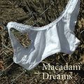 Cover Art for 9780803287730, Macadam Dreams by Gisele Pineau