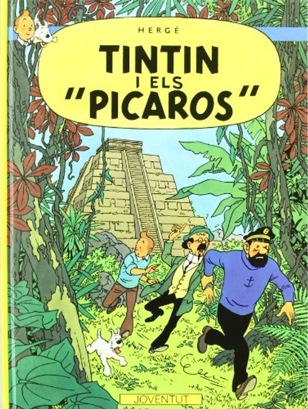 Cover Art for 9788426101518, Tintín i els picaros by Hergé