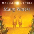 Cover Art for 9780312368616, Many Waters by Madeleine L'Engle