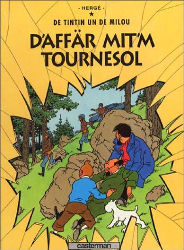 Cover Art for 9782203009028, Tintin alsacien affaire tournesol by Herge