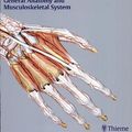 Cover Art for 9783131420817, General Anatomy and Musculoskeletal System by Michael Schuenke