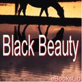 Cover Art for 9781412133708, Black Beauty by Sewell, Anna