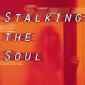 Cover Art for 9781885586995, Stalking the Soul by Marie-France Hirigoyen