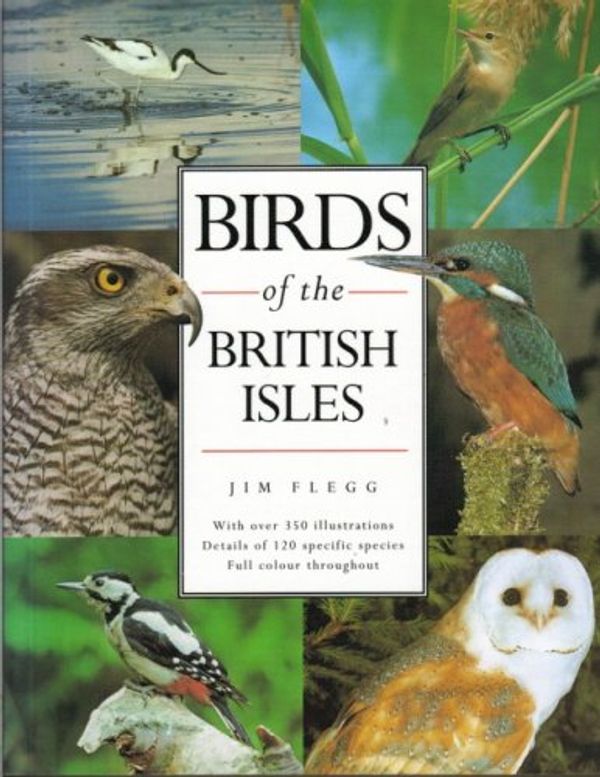 Cover Art for 9781856056014, Birds of the British Isles by Jim Flegg