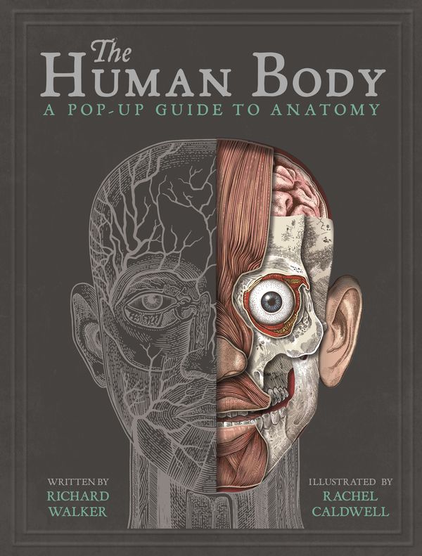 Cover Art for 9781787410589, The Human Body by Richard Walker