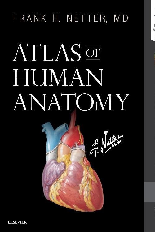 Cover Art for 9780323393225, Atlas of Human AnatomyIncluding Student Consult eBook by Netter MD, Frank H.