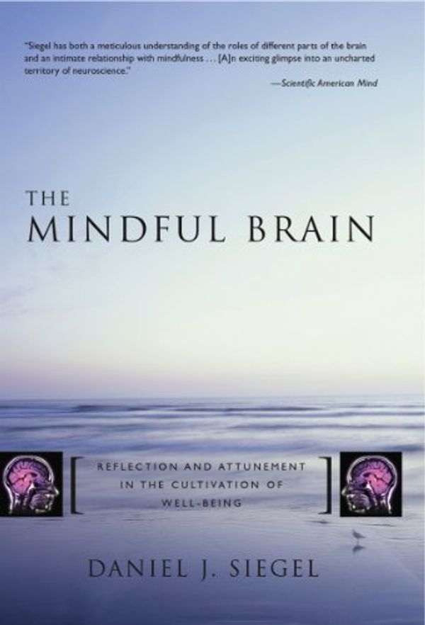 Cover Art for 9780393068702, The Mindful Brain: Reflection and Attunement in the Cultivation of Well-Being (Norton Series on Interpersonal Neurobiology) by Daniel J. Siegel